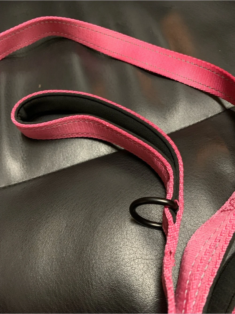 Pink Dog Leash with Padded Handle